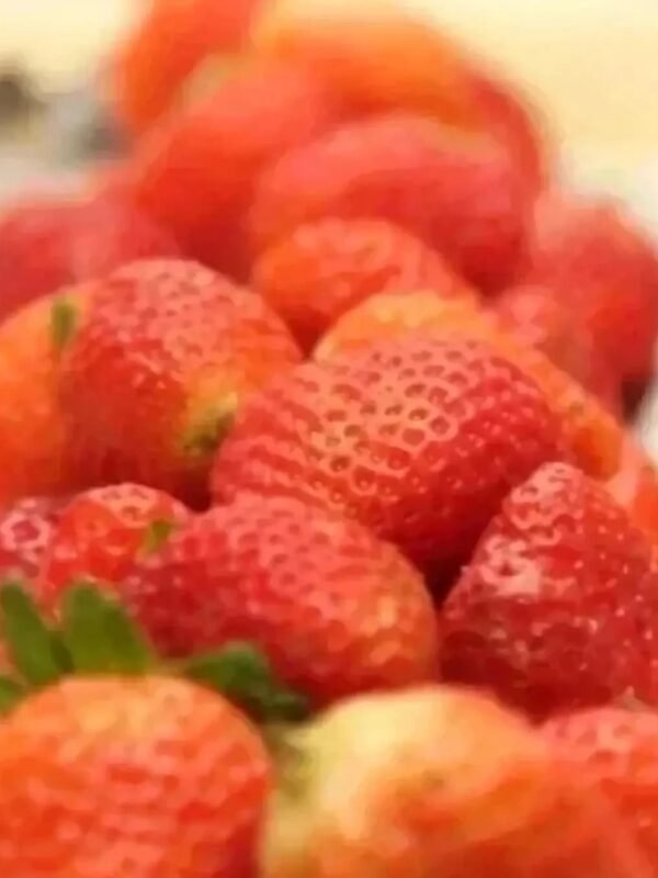 463467110_417386427822326_497709196022218651_n